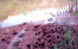 Vụ xác chết trong bao tải ở An Giang: Mưu mô tàn độc của con bạc
