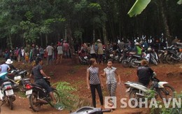Gần 40 đối tượng thuê xe khách vào rừng tràm để…chơi xóc đĩa