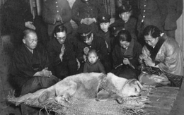 Những cách thể hiện tình yêu có 1 không 2 trên Trái Đất