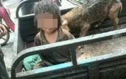 Bé trai Trung Quốc 7 tuổi bị sống chung với heo