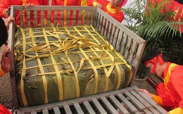 Dâng cặp bánh chưng khổng lồ tri ân thân mẫu Chủ tịch Hồ Chí Minh