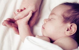 “Bàn tay của bố” – Biểu tượng mới của tình yêu gia đình