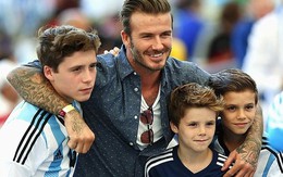 Beckham thừa nhận 3 cậu con trai đều lười học
