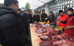 Mẹo phân biệt thịt lợn sề, trâu nái biến thành thịt bò