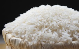 Mối hiểm họa không ngờ từ cơm gạo bạn vẫn ăn hàng ngày