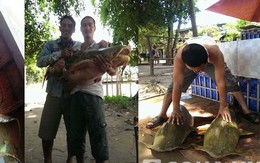 Cá “khủng” nặng tới 30kg, dài 1,4 mét về đến Hà Nội