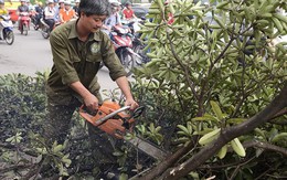 Nhà thơ Nguyễn Trọng Tạo: "Chua xót chưa từng thấy"