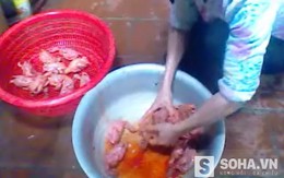 Video: Mục sở thị hóa chất “nhuộm” chim giá 6.000 đồng/gói/năm