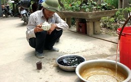 Kỳ lạ nước giếng trong vắt bỗng chuyển màu tím đen ở Phú Thọ