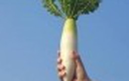 Củ cải: Vì sức khỏe không thể không ăn