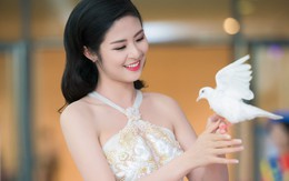 Hoa hậu Ngọc Hân gợi cảm và sang trọng