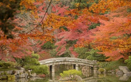 Ngắm sắc Thu đẹp ngỡ ngàng ở cố đô Kyoto, Nhật Bản