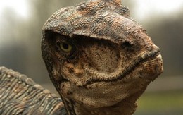 [Fun fact] 10 sự thật không ngờ về loài khủng long