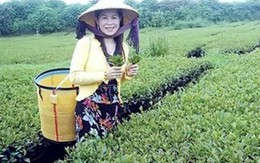 Tình tiết mới vụ bà Hà Linh bị bỏ độc giết hại ở Đài Loan