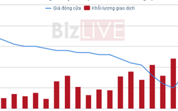 [Cổ phiếu nổi bật tuần] Lận đận HAG