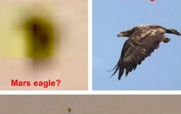 Nghi vấn chim bay trên sao Hỏa, NASA làm ngơ