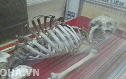Bộ xương một phụ nữ Pháp lưu giữ trong ngôi trường cổ ở Việt Nam