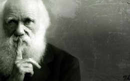 Điều gì khiến Darwin bó tay, không thể giải thích nổi?