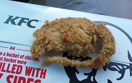 KFC ở Mỹ bị tố chiên chuột nguyên con bán cho khách