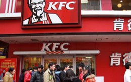 Sự thật về vụ KFC sử dụng gà 8 chân, 6 cánh