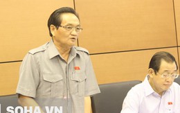 ĐB Du Lịch: "Bộ Tài chính chi tiêu ngân sách giật gấu vá vai"