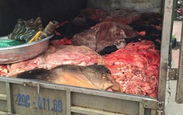 Sáng sớm, CA bắt giữ xe tải chở 1 tấn nội tang trâu bò ướp thuốc
