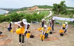 Hội thảo quốc tế liên kết phát triển du lịch tại Bình Thuận