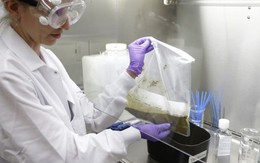 NASA tìm cách biến phân người thành thức ăn cho phi hành gia