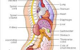 Biết "bí quyết" này, mọi loại bệnh đều được phát hiện từ rất sớm