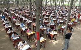Nhà trường tổ chức cho học sinh thi cuối kỳ ở giữa rừng cây để... tránh nóng