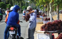 Nho Trung Quốc đội lốt Mỹ bán dọc miền Tây