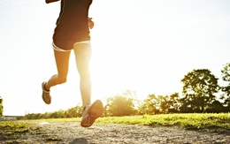 Phát hiện gây sốc: Chạy marathon có thể khiến bạn teo não