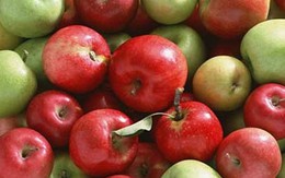 Việt Nam đã nhập khẩu trên 1.200 tấn táo từ Mỹ