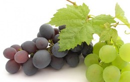 Lợi ích sức khỏe của việc ăn nho