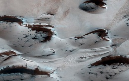 NASA công bố hình ảnh ngỡ như trên sao Hỏa có rừng cây