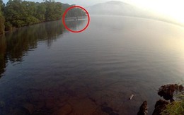 Sinh vật lạ giống quái vật Hồ Loch Ness xuất hiện ở Anh
