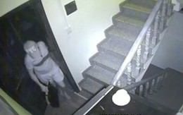 Câu chuyện "trộm lẻn vào nhà" trở thành đề tài "hot" trên mạng