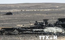 Học giả Mỹ: Mỹ có thể dính líu đến vụ máy bay của Nga rơi ở Ai Cập