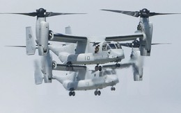 Nhật Bản hoãn kế hoạch tập trận đổ bộ trực thăng lần đầu
