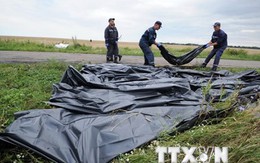 Lực lượng ly khai miền Đông Ukraine công bố tài liệu về vụ MH17