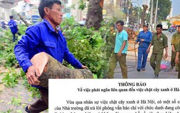 Công an Hà Nội không can thiệp phát ngôn của trường Đại học Lâm nghiệp