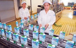 Sếp DN sữa nội: 'Vinamilk như hotgirl, phải chờ đại gia'