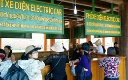 “Đại gia” Ninh Bình xin miễn thuế nhập khẩu xe điện