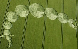 Lý giải những vòng tròn bí ẩn trên cánh đồng lúa mì ở Anh