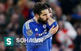 Lộ tin Fabregas khiến fan Chelsea mất việc