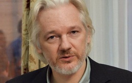 Ông chủ Wikileaks định nộp mình cho cảnh sát