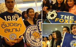 Fan bóng đá Thái Lan "phát cuồng" vì Leicester City