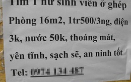 Sinh viên ở ghép: "Tiền bạc phân minh, ái tình dứt khoát"