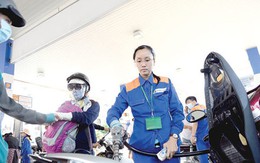 Thanh tra thuế hàng loạt doanh nghiệp xăng dầu