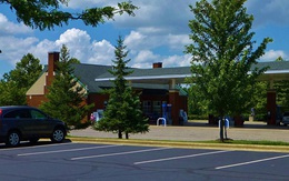 Kỳ lạ: Sắp có loại xăng được “mọc" trên cây